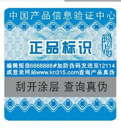 信息系統(tǒng)集成服務 構建智慧未來的橋梁