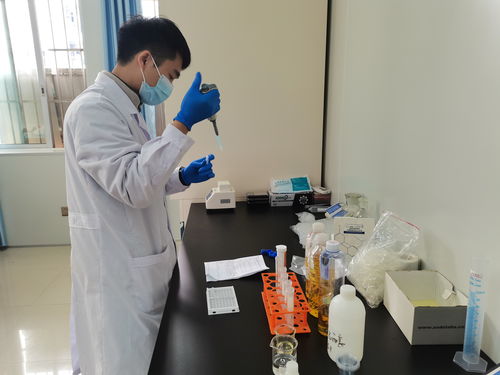 橫縣市場監管局全力護航重大會議順利召開，環保工程助力綠色發展